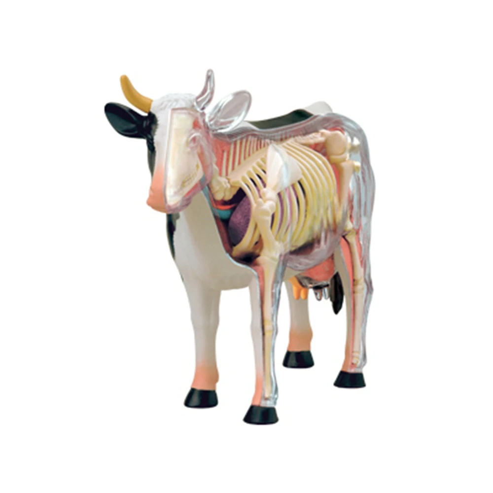 Анатомическая модел орган на животното, 4D Играчка за сглобяване на интелигентност Крави, Обучение Анатомическая модел, научно-популярна техника, направи си САМ