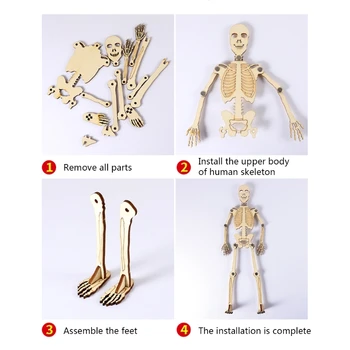 Блок Монтесори, модул за обучение ресурс, структурата на скелета, пъзел, детска Тъчпад Модел на Човека, Научна Играчка, Гъвкави Панти