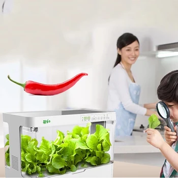 Интелигентна гидропонная сеялка, беспочвенное обзавеждане за отглеждане, гидропонный зеленчукова къща на закрито